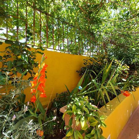 Casa Maestro Lelo - Acogedora Casa Rural Canaria Con Patios Y Jardines De Flores Las Palmas de Gran Canaria Eksteriør bilde