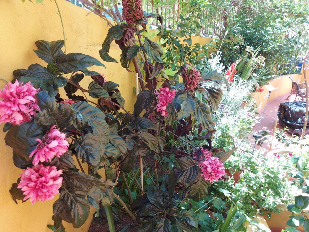 Casa Maestro Lelo - Acogedora Casa Rural Canaria Con Patios Y Jardines De Flores Las Palmas de Gran Canaria Eksteriør bilde
