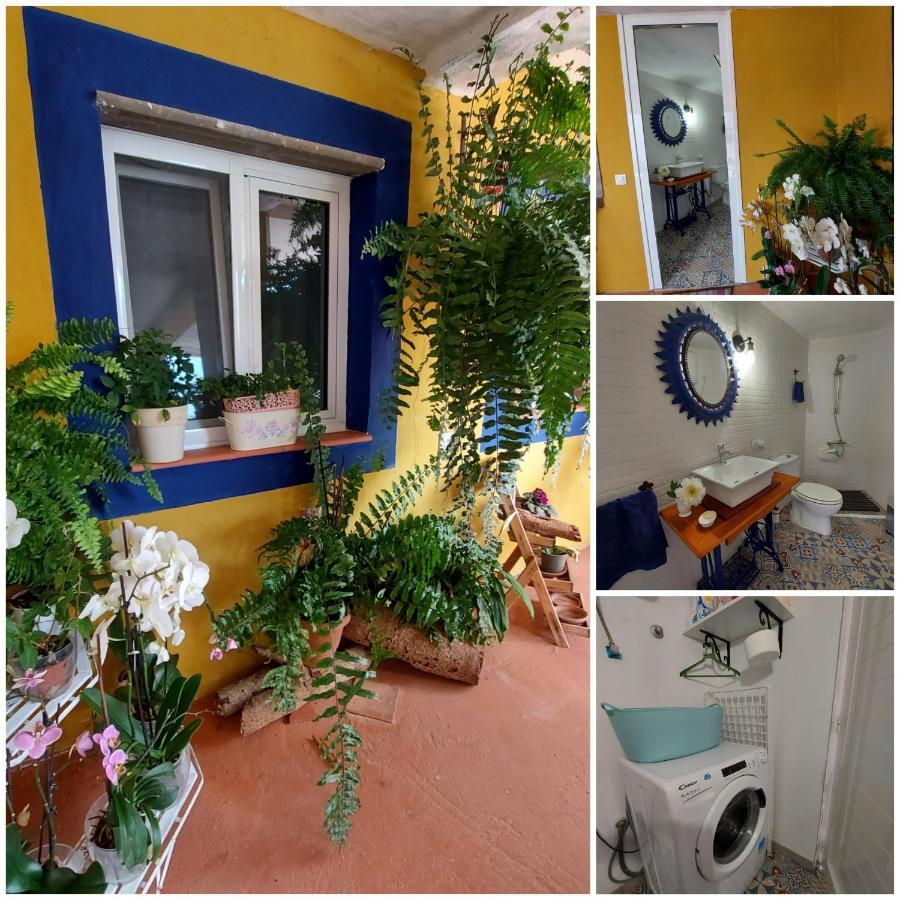 Casa Maestro Lelo - Acogedora Casa Rural Canaria Con Patios Y Jardines De Flores Las Palmas de Gran Canaria Eksteriør bilde